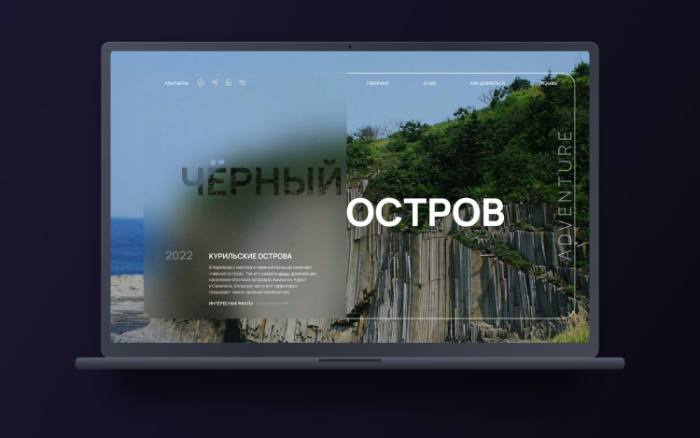 Черный остров — Фирменный стиль, сайт
